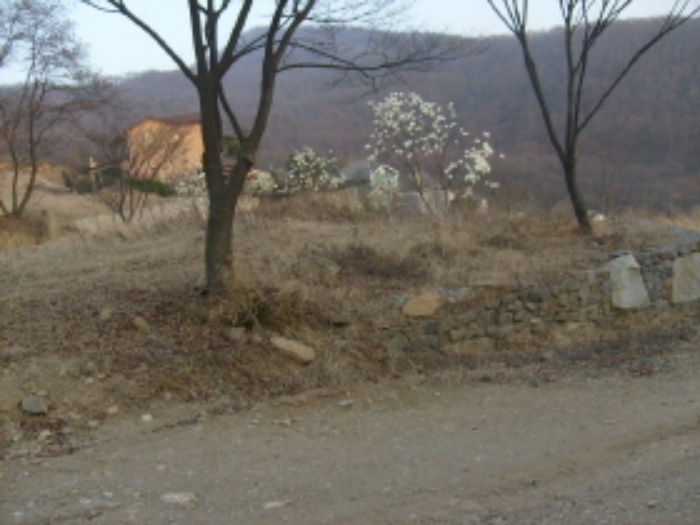 성남지원 2009타경7290-1 사진