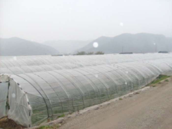 성남지원 2009타경8057-2 사진