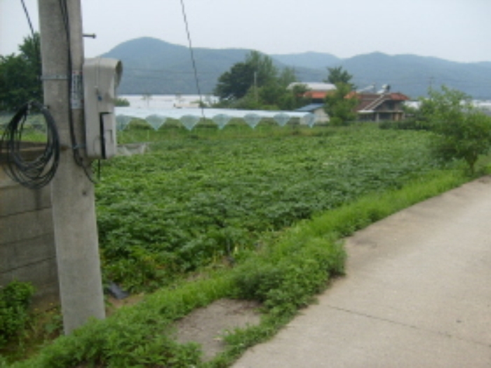 성남지원 2009타경13776-1 사진