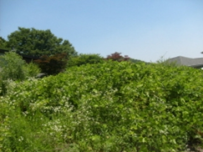 성남지원 2009타경13974-2 사진