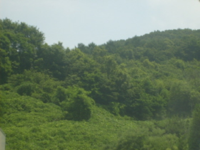 성남지원 2009타경15048-1 사진