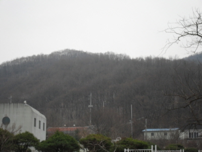 성남지원 2009타경24134-3 사진