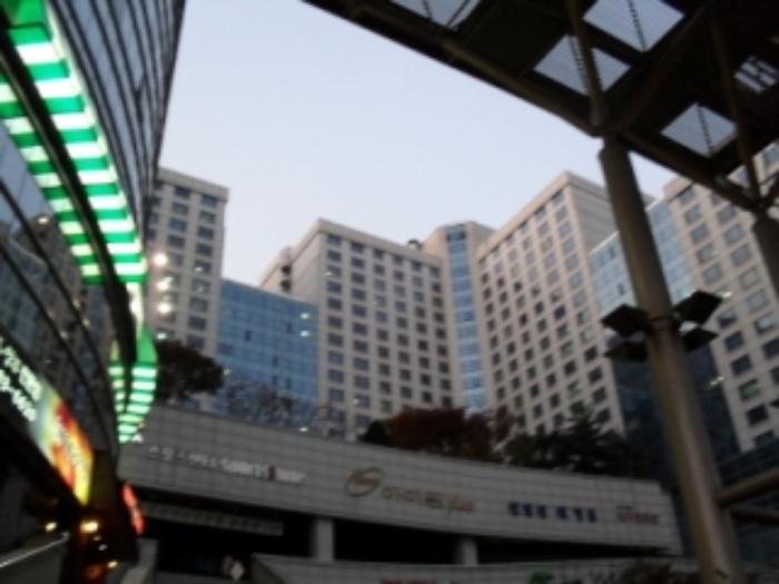 성남지원 2009타경24721-1 사진