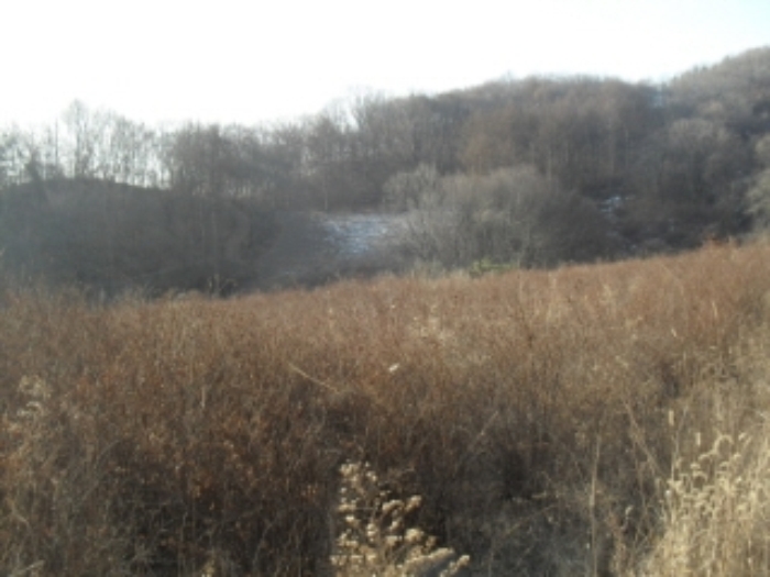 성남지원 2012타경1223-2 사진