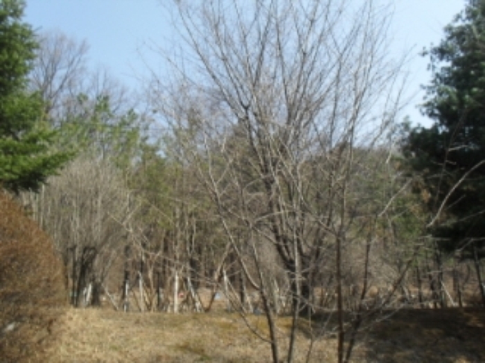 성남지원 2012타경4840-1 사진