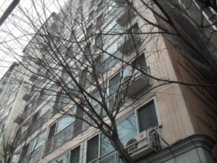 성남지원 2012타경31927-8 사진