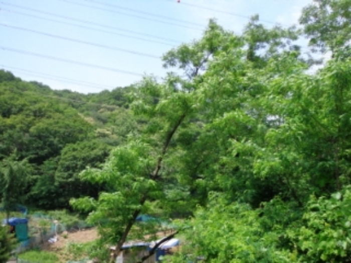 성남지원 2013타경13834-1 사진