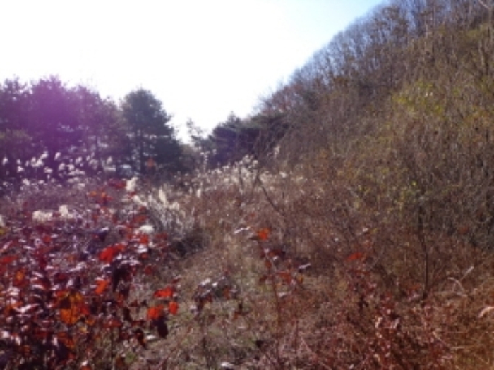 성남지원 2013타경27017-1 사진