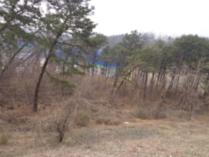 성남지원 2014타경6963-1 사진