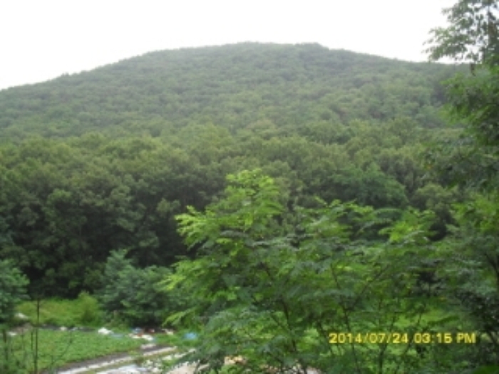 성남지원 2014타경14940-1 사진
