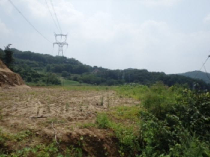 성남지원 2014타경17659-1 사진