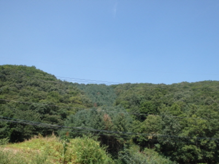 성남지원 2014타경18829-1 사진
