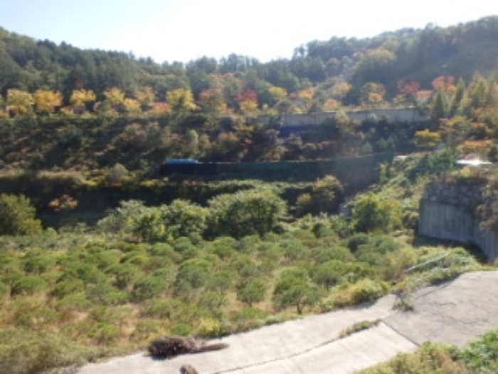 성남지원 2014타경20129-1 사진