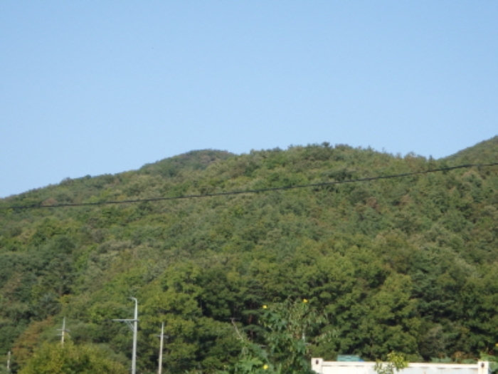 성남지원 2014타경20754-1 사진