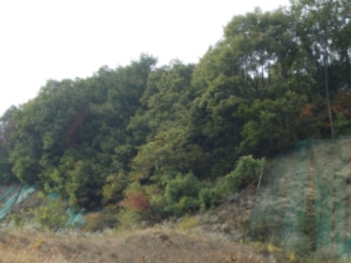 성남지원 2014타경21085-1 사진