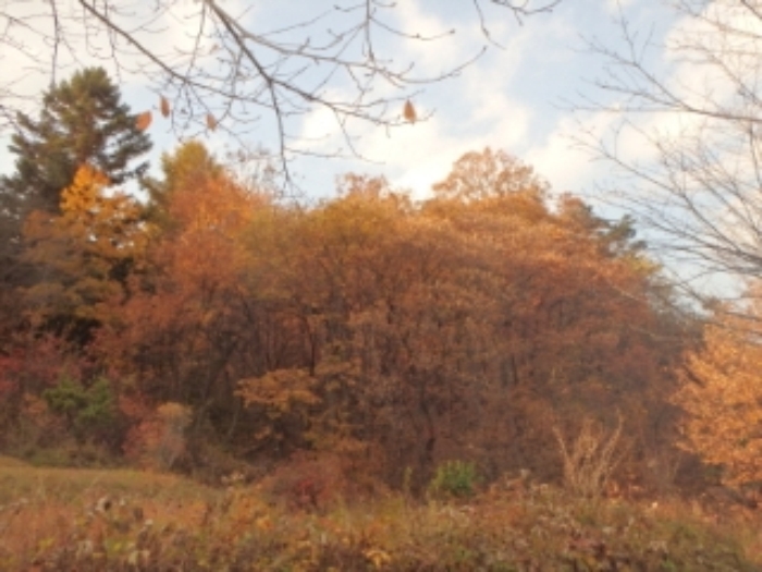 성남지원 2014타경22729-1 사진