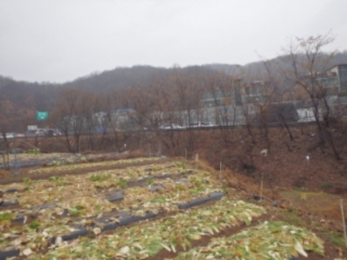 성남지원 2014타경24732-1 사진