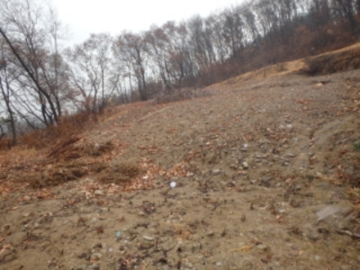 성남지원 2014타경25612-1 사진