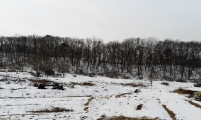 성남지원 2014타경26981-1 사진