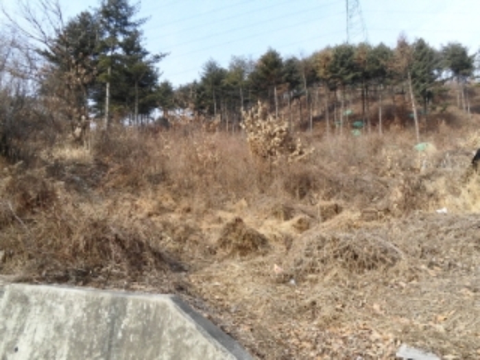 성남지원 2015타경1675-1 사진