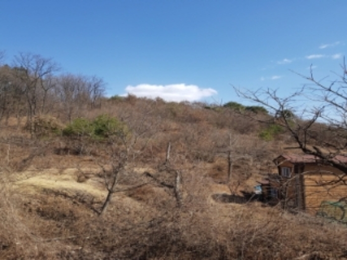 성남지원 2019타경2102-1 사진