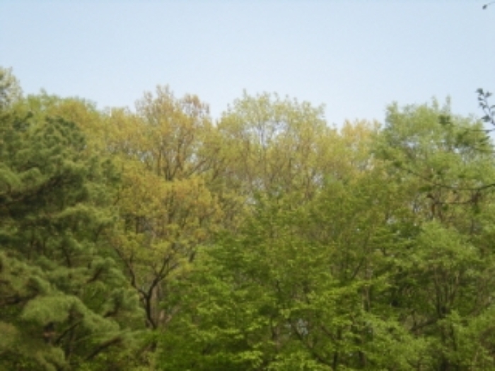 성남지원 2019타경3389-3 사진