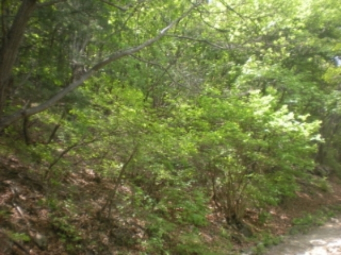 성남지원 2019타경3815-1 사진