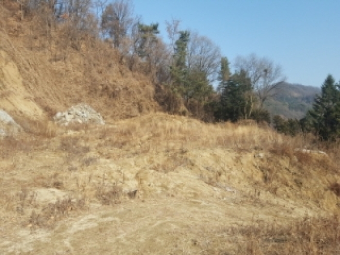 성남지원 2019타경11540-1 사진