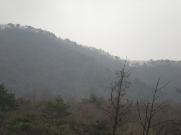 성남지원 2019타경51821-1 사진