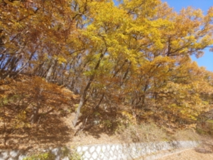 성남지원 2019타경60207-1 사진