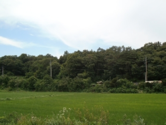 여주지원 2015타경30683-2 사진