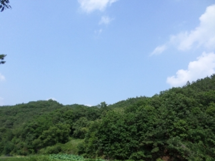 여주지원 2017타경5292-1 사진