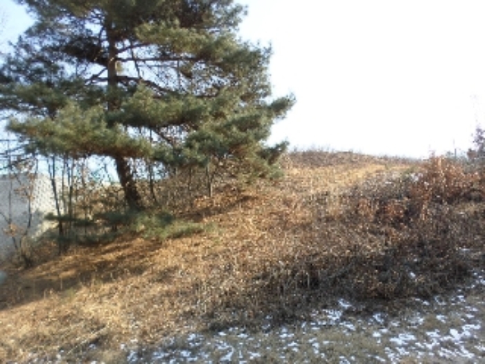 여주지원 2018타경577-1 사진