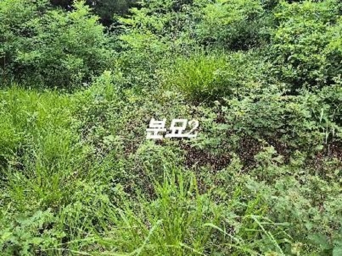 여주지원 2024타경3874-1 사진