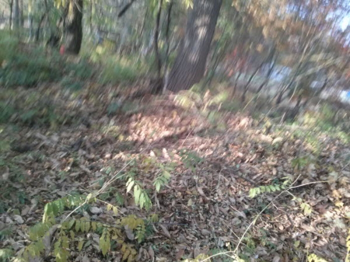 평택지원 2014타경16249-3 사진