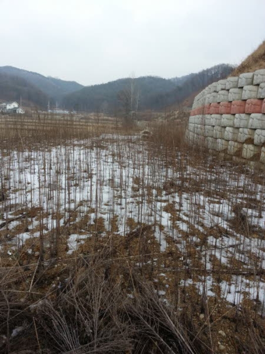 평택지원 2015타경302-1 사진