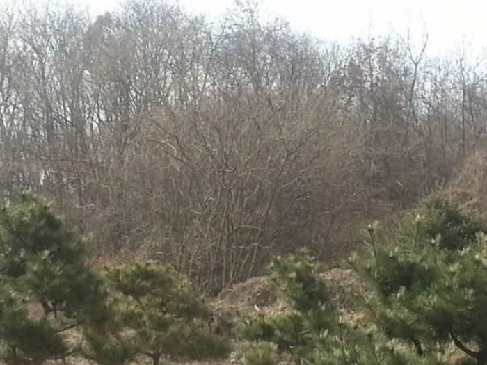 평택지원 2015타경1145-1 사진