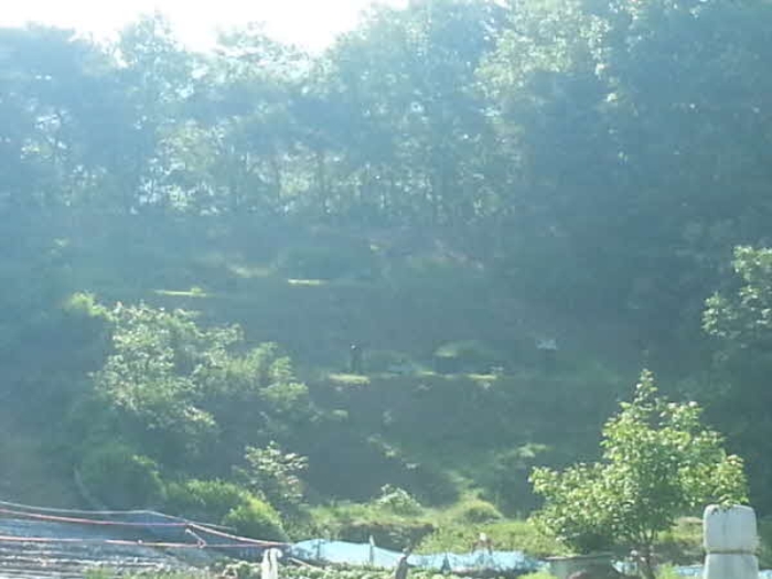평택지원 2015타경5970-1 사진