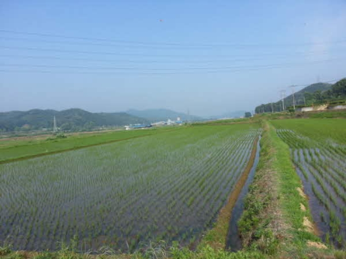 평택지원 2015타경6577-1 사진