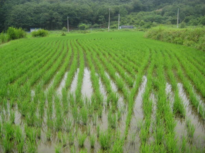 평택지원 2015타경7068-1 사진