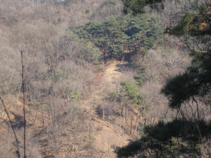 평택지원 2015타경9019-1 사진
