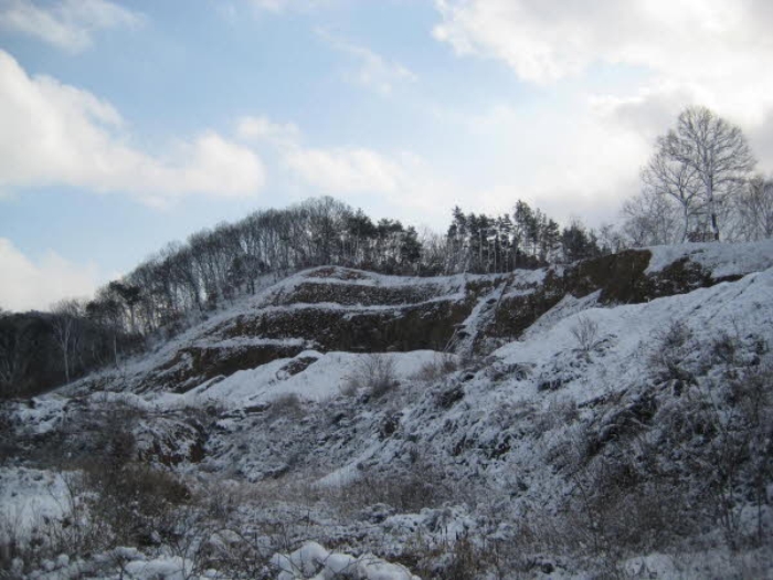 평택지원 2015타경13483-1 사진