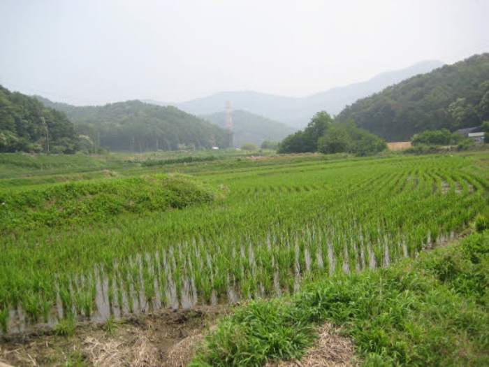 평택지원 2016타경4882-1 사진