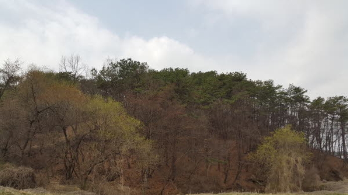 평택지원 2018타경41113-1 사진