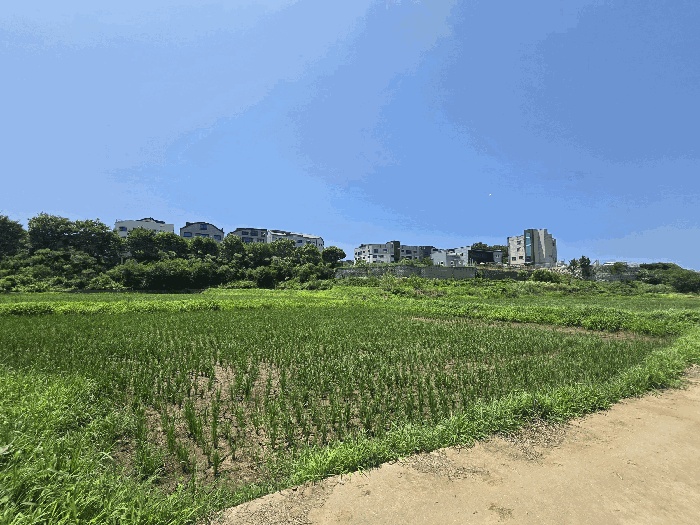 평택지원 2025타경42183-1 사진