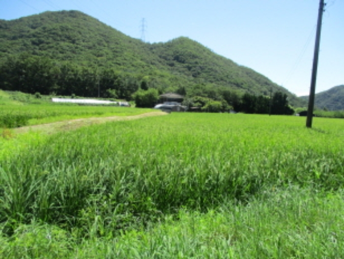 안양지원 2016타경4724-1 사진