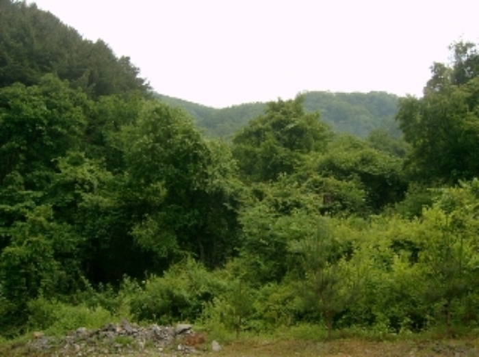 춘천지법 2017타경2515-1 사진