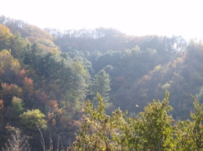 춘천지법 2017타경6180-1 사진