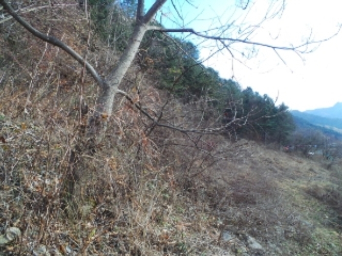 춘천지법 2017타경52473-1 사진