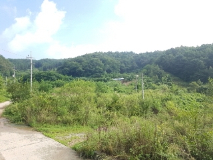 춘천지법 2018타경3904-1 사진